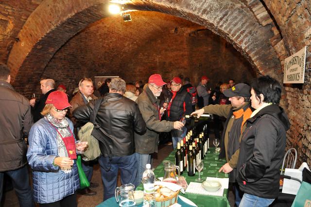 Der Trnava Weinkellertag